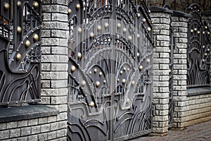 Wrought-iron gates, ornamental forging, forged elements close-up