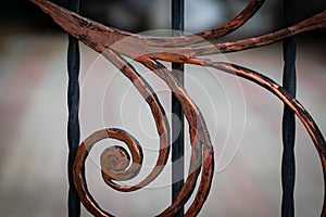 Wrought-iron gates, ornamental forging, forged elements close-up