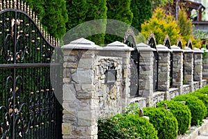 Wrought-iron gates, ornamental forging, forged elements close-up