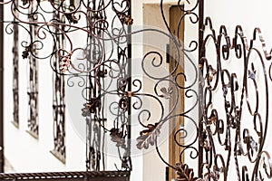 Wrought-iron gates, ornamental forging, forged elements close-up