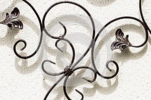 Wrought-iron gates, ornamental forging, forged elements close-up