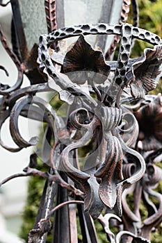 Wrought-iron gates, ornamental forging, forged elements close-up
