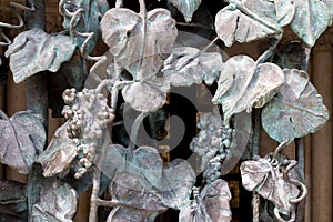 wrought-iron grille showing the vines, Pecs, HUngary