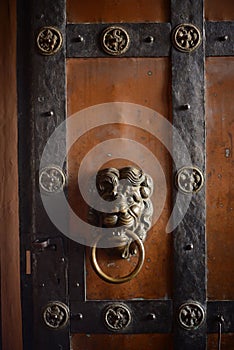 Wrought iron lion door handle.