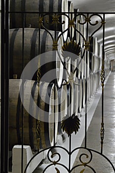 Through the wrought-iron metal gate you can see the wine cellar with old oak barrels lying in a row