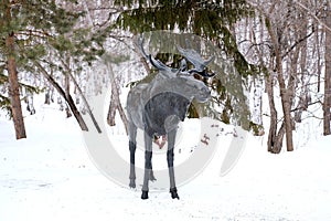 Wrought iron moose in the park. Big black sculpture on the street. Bashkiria in the winter