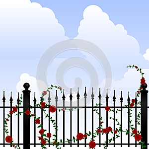 Wrought iron and roses