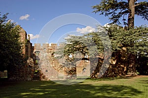 WS Acton-Burnell Castle Ruins