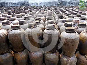 Wu zhen wine containers