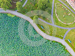 Wuhan city aerial photography scenery in summer