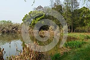 Wuhan East Lake ecotourism scenic area