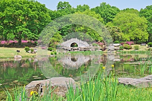 Wuhan East lake Forest Park scenery in spring