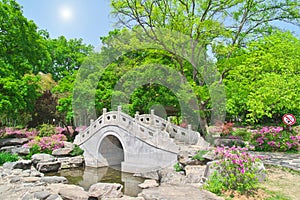 Wuhan East lake Forest Park scenery in spring