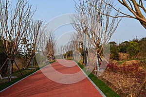 Wuhan East Lake green road