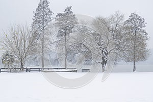 Wuhan East lake scenic spot snow scene in winter