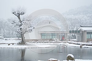 Wuhan East lake scenic spot snow scene in winter