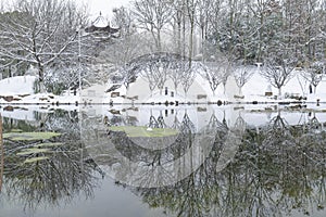 Wuhan East lake scenic spot snow scene in winter