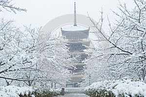 Wuhan East lake scenic spot snow scene in winter