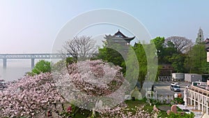 Wuhan Hanyang River beach Qingchuan Pavilion Park and cherry blossom scenery