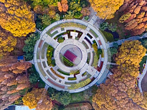Wuhan Jiefang Park aerial photography scenery in autumn