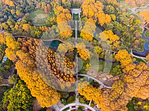Wuhan Jiefang Park aerial photography scenery in autumn