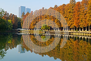 Wuhan Jiefang Park scenery in autumn