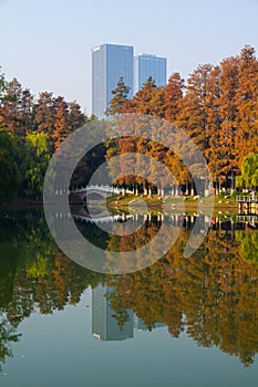Wuhan Jiefang Park scenery in autumn