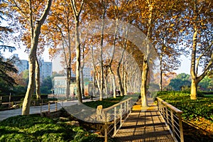 Wuhan Jiefang Park scenery in autumn