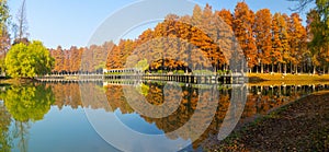 Wuhan Jiefang Park scenery in autumn