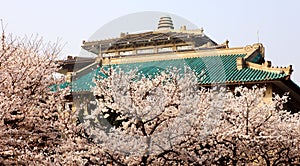 Wuhan University campus of China