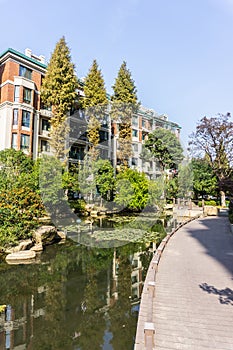 Wuhu Anhui China Water Lily Pond 2