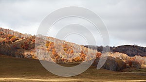 Wulanbutong autumn, Inner Mongolia, China