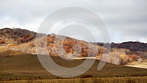 Wulanbutong autumn, Inner Mongolia, China