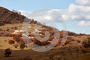 Wulanbutong autumn, Inner Mongolia, China