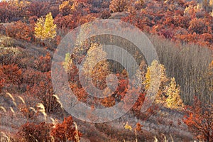 Wulanbutong autumn, Inner Mongolia, China