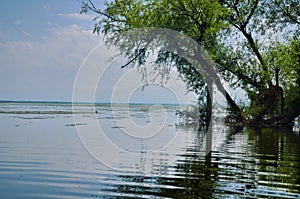 Wular Lake