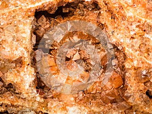 Wulfenite crystals in vug close up