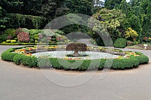 Wunderschoene Pflanzen im Botanischen Garten in Sri Lankas