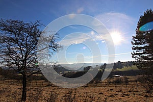 WunderschÃÂ¶ne eifel Summer Landscape
