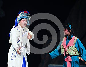 Wusheng in beijing opera