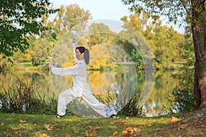 The wushu exercise