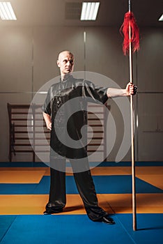 Wushu fighter poses with lance, martial arts