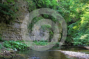 Wutach Gorge