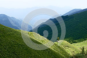 Wutai Mountain scenery