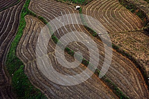 Wuyuan County, Jiangxi, China