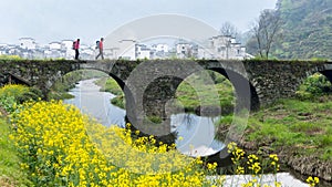 Wuyuan Flower