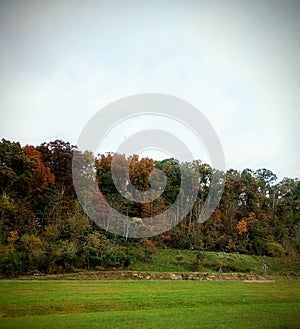 WV highway fall colors