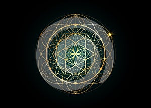 Seed of life symbol Sacred Geometry. Geometric mystic mandala of alchemy esoteric Flower of Life. Gold luxury design, vector photo