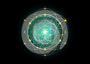 Seed of life symbol Sacred Geometry. Geometric mystic mandala of alchemy esoteric Flower of Life. Gold luxury design, vector