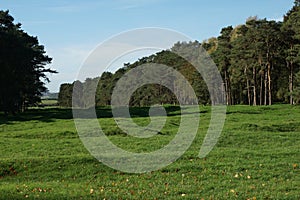 WW1 Artillery Shell Craters on the Vimy Ridge Battlefield, Givenchy-en-Gohelle, Lens, Pas-de-Calais, Hauts-de-France